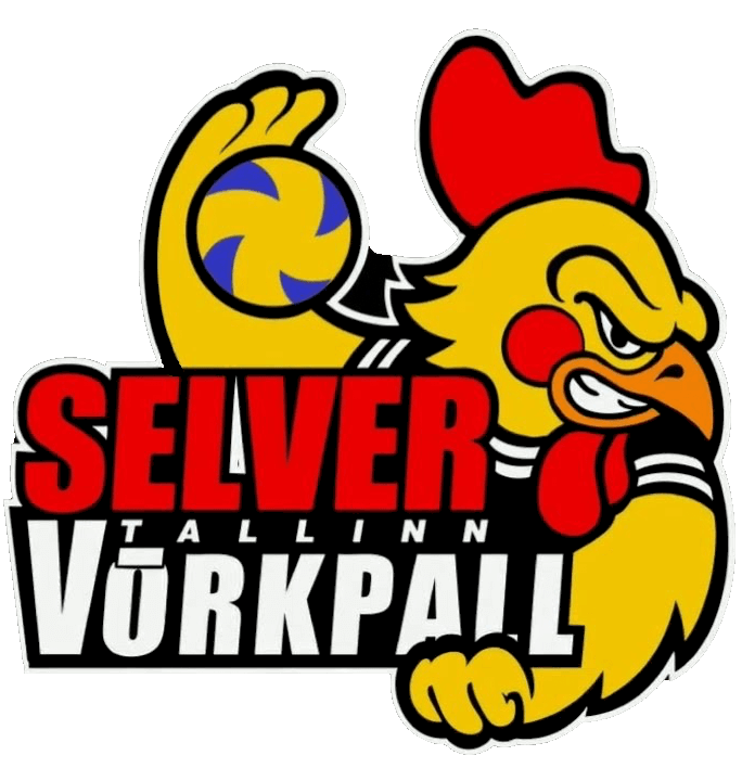 Selveri võrkpalliklubi