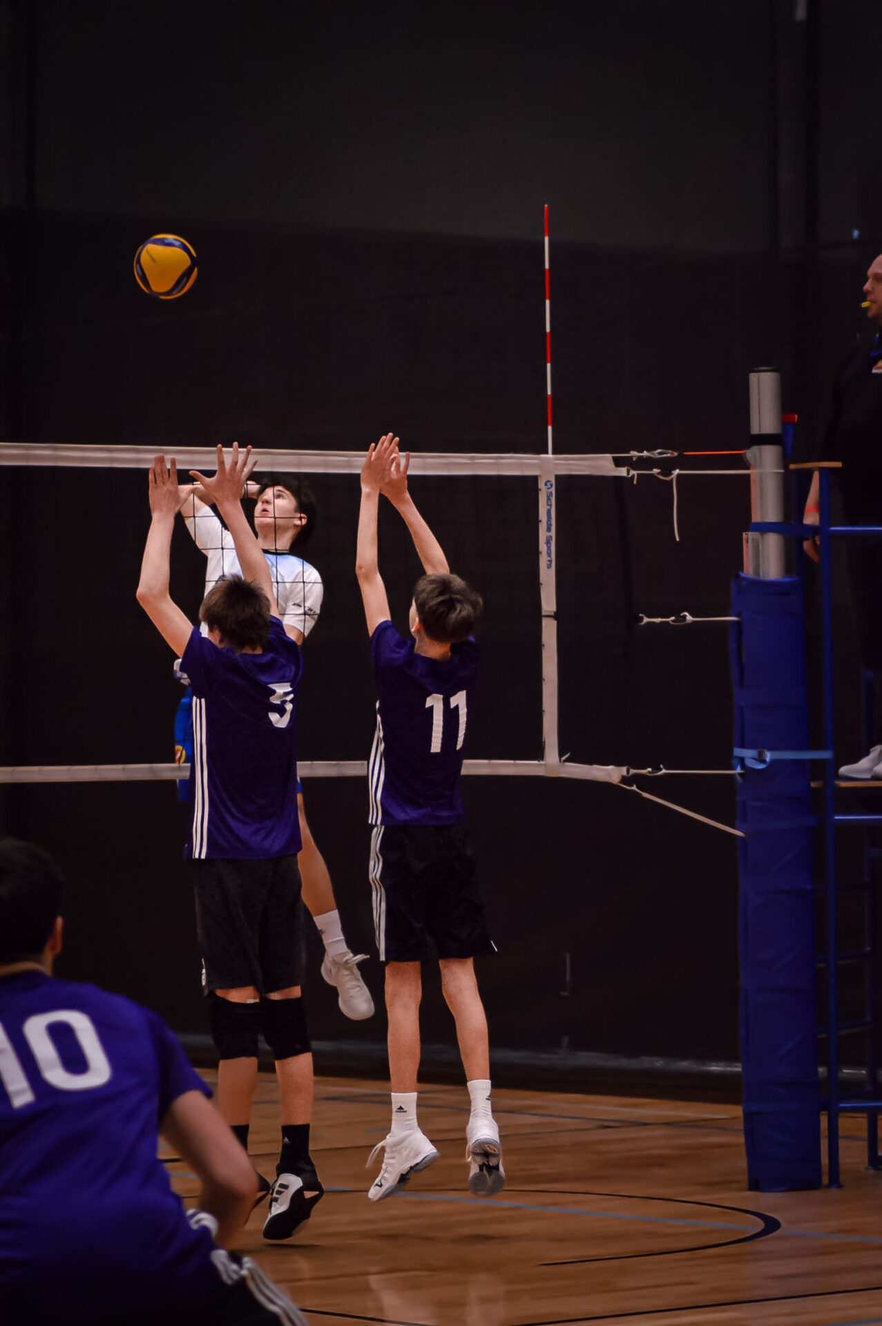 DSC_0226_NEF (1)